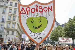 Страх перед ГМО возникает из-за недостатка знаний - ученый