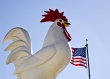 В 2014 году США экспортировали 4,1 млн т мяса птицы