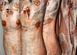 На европейском рынке свинины началась оттепель?