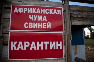 В Рязанской области установлен карантин по АЧС