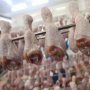 Россельхознадзор добивается права поставок мяса птицы из РФ в Бразилию