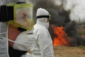 Почти 1,5 тыс свиней будут забиты из-за чумы свиней в Волгоградской области Почти 1,5 тыс свиней будут забиты из-за чумы свиней в Волгоградской области