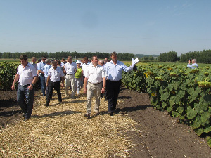 Снизить пестицидную нагрузку в сельхозпредприятиях на 20% без ущерба для урожая возможно в первый же год