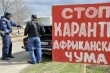 Беларусь запретила ввоз свинины из Полтавской области Украины из-за АЧС