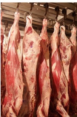 Мясо оптом. Говядина, свинина, конина, субпродукты