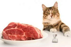 Мнение: накормить себя мясом Россия по-прежнему не может