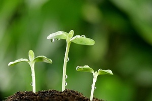 В следующем сезоне доходность АПК сократится - эксперты