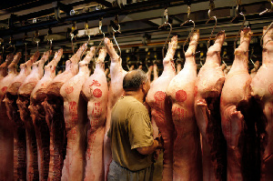 Китай выпустил на рынок 16 тыс. тонн резервной свинины