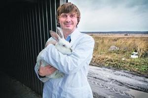 Владелец кролиководческой фермы «Лелечи» о специфике выращивания кроликов в России
