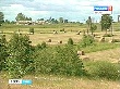 В Тверской области разработана стратегия развития АПК до 2020 года