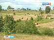 В Тверской области разработана стратегия развития АПК до 2020 года В Тверской области разработана стратегия развития АПК до 2020 года