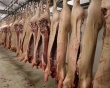 Экспорт свинины из США упадёт из-за болезней