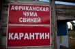 Россия: Диагноз АЧС подтвердился в Калужской области