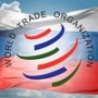 Главы крупнейших белгородских агрохолдингов пожаловались сенаторам на неприятности от вступления России в ВТО