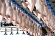 Союз птицеводов Украины рассчитывает на увеличение квоты на поставки мяса птицы в страны ЕС