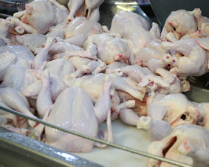 Цены на курицу снижаются из-за падения спроса у переработчиков