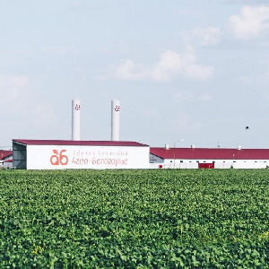 Свинокомплекс «Агро-Белогорья» оспорил в суде миллионный штраф от Росприроднадзора