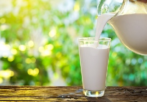 Украинские фермеры требуют установить минимальные закупочные цены на молоко