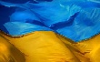 В Украине за 11 месяцев производство свинины и говядины снизилось, мяса птицы - выросло В Украине за 11 месяцев производство свинины и говядины снизилось, мяса птицы - выросло