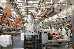 Производство мяса растет, но цены на мясо растут гораздо быстрее