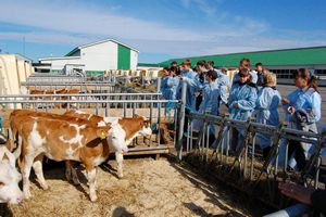 Детей в сельских школах Новосибирской области будут готовить в аграрии