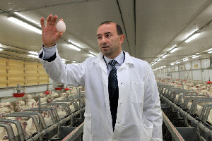 Компании ООО «Донстар», принадлежащей экс-владельцу ГК «Евродон», также грозит банкротство