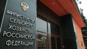 Минсельхоз подготовил законопроект об утилизации продуктов, ввозимых для личного пользования из-за рубежа 