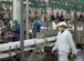 Виктор Зубков побывал на «Инжавинской птицефабрике»