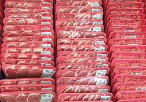 За неделю в Смоленской области свинина в живом весе снизилась в цене на 6,5%