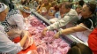 Мясники сделали ход свиньей. Производители просят отменить для них объемный бонус