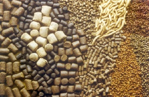 В США предлагается запретить использование некоторых антибиотиков в животноводстве