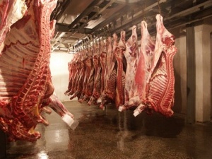 В Новгородской области ожидается рекордный объем производства мяса