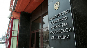До конца года Минсельхоз заключит соглашения о господдержке как минимум с 50 экспортерами