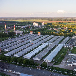 Свинокомплекс в Майском может получить нового инвестора