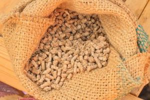 Иркутский губернатор поручил усилить контроль за ввозом кормов и добавок 