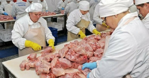 «Тюменский бройлер» увеличил долю продукции глубокой переработки мяса птицы