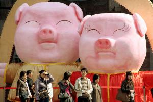 В 2019 году импорт свинины в КНР вырастет на 33% из-за африканской чумы свиней  