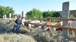 В Острогожском районе наращивают поголовье скота