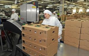 «Тюменский бройлер» заключил соглашение на поставку продукции в Киргизию