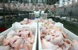 В Татарстане с начала года произведено 520 млн. шт. куриных яиц и 111 тыс. т мяса птицы