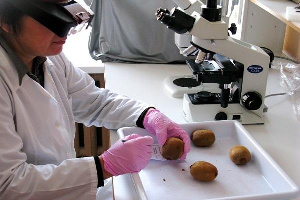 В Астрахани построят центр антимикробной обработки продуктов