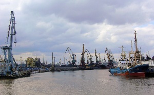 В порту Калининград задержали более 24 т говядины из Колумбии