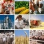 Министерство сельского хозяйства Волгоградской области отчиталось о своей работе