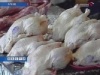 Ставропольцев обеспечат местной курятиной