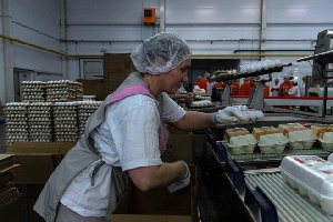 Пилотный проект по повышению производительности труда реализовали на пышминской птицефабрике