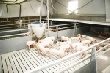 "Восточно-Сибирский" выходит на старт