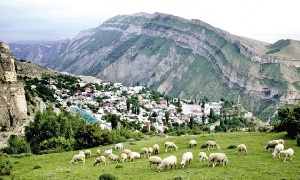 Дагестан потратит на поддержку фермеров 580 млн рублей