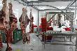 «Агро-Белогорье» запустило учебно-производственный цех мясопереработки