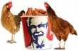 Сеть ресторанов KFC судится с конкурентами из-за слухов о восьминогих курицах