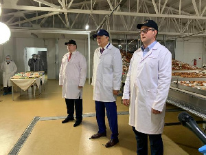 Ленобласть поставляет белые куриные яйца в Арабские Эмираты